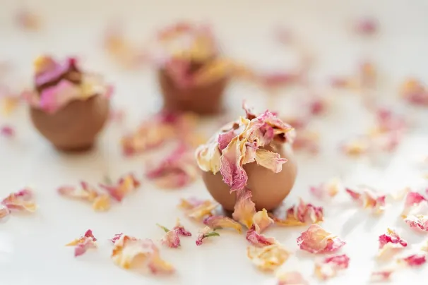 Casino Lotus Asia Aplicación Android/iOS